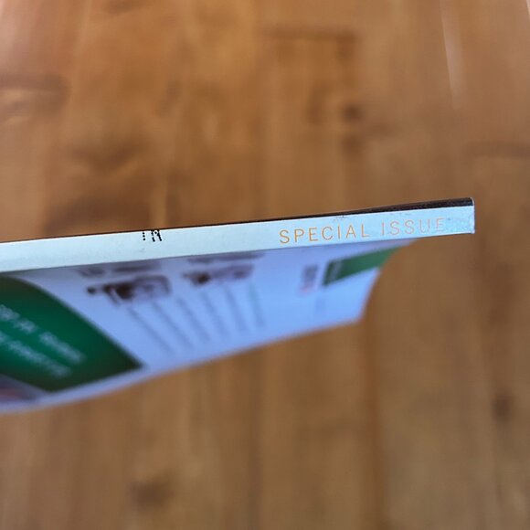 Martha Stewart Halloween 2000 Holiday Special Issue - Picture 6 of 7